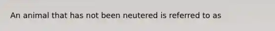 An animal that has not been neutered is referred to as