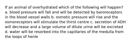 If an animal of overhydrated which of the following will happen? a. blood pressure will fall and will be detected by baroreceptors in the blood vessel walls b. osmotic pressure will rise and the osmoreceptors will stimulate the thirst centre c. secretion of ADH will decrease and a large volume of dilute urine will be excreted d. water will be resorbed into the capillaries of the medulla from the loops of henle