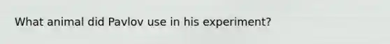 What animal did Pavlov use in his experiment?
