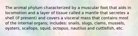 The animal phylum characterized by a muscular foot that aids in locomotion and a layer of tissue called a mantle that secretes a shell (if present) and covers a visceral mass that contains most of the internal organs; includes: snails, slugs, clams, mussels, oysters, scallops, squid, octopus, nautilus and cuttlefish, etc.