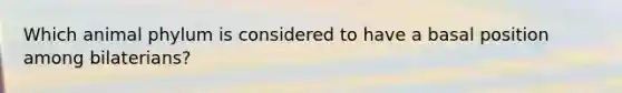 Which animal phylum is considered to have a basal position among bilaterians?