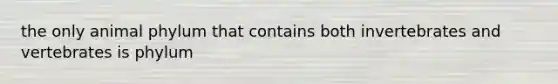 the only animal phylum that contains both invertebrates and vertebrates is phylum