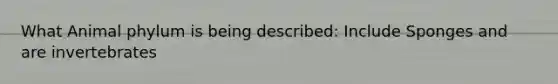 What Animal phylum is being described: Include Sponges and are invertebrates