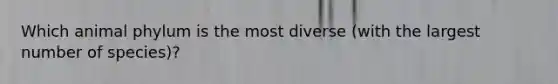 Which animal phylum is the most diverse (with the largest number of species)?