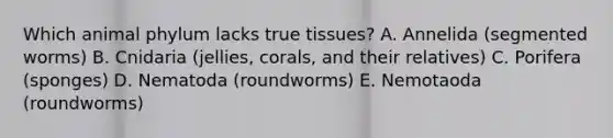 Which animal phylum lacks true tissues? A. Annelida (segmented worms) B. Cnidaria (jellies, corals, and their relatives) C. Porifera (sponges) D. Nematoda (roundworms) E. Nemotaoda (roundworms)