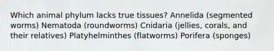 Which animal phylum lacks true tissues? Annelida (segmented worms) Nematoda (roundworms) Cnidaria (jellies, corals, and their relatives) Platyhelminthes (flatworms) Porifera (sponges)