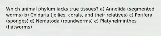 Which animal phylum lacks true tissues? a) Annelida (segmented worms) b) Cnidaria (jellies, corals, and their relatives) c) Porifera (sponges) d) Nematoda (roundworms) e) Platyhelminthes (flatworms)