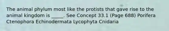 The animal phylum most like the protists that gave rise to the animal kingdom is _____. See Concept 33.1 (Page 688) Porifera Ctenophora Echinodermata Lycophyta Cnidaria