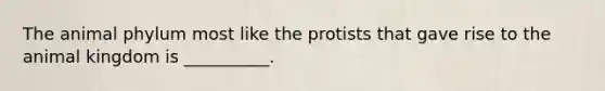 The animal phylum most like the protists that gave rise to the animal kingdom is __________.