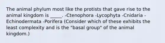 The animal phylum most like the protists that gave rise to the animal kingdom is _____. -Ctenophora -Lycophyta -Cnidaria -Echinodermata -Porifera (Consider which of these exhibits the least complexity and is the "basal group" of the animal kingdom.)