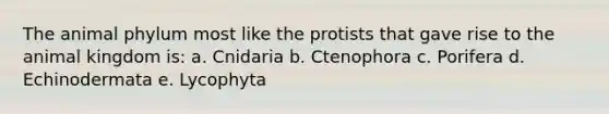 The animal phylum most like the protists that gave rise to the animal kingdom is: a. Cnidaria b. Ctenophora c. Porifera d. Echinodermata e. Lycophyta