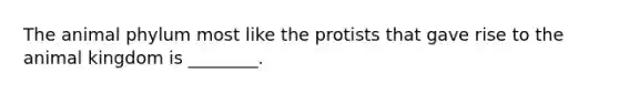 The animal phylum most like the protists that gave rise to the animal kingdom is ________.