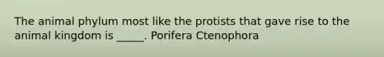 The animal phylum most like the protists that gave rise to the animal kingdom is _____. Porifera Ctenophora