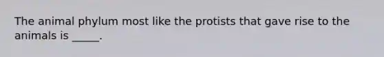 The animal phylum most like the protists that gave rise to the animals is _____.