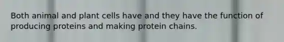 Both animal and plant cells have and they have the function of producing proteins and making protein chains.