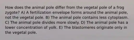 How does the animal pole differ from the vegetal pole of a frog zygote? A) A fertilization envelope forms around the animal pole, not the vegetal pole. B) The animal pole contains less cytoplasm. C) The animal pole divides more slowly. D) The animal pole has a lower concentration of yolk. E) The blastomeres originate only in the vegetal pole.