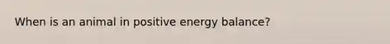 When is an animal in positive energy balance?