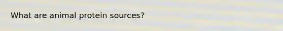 What are animal protein sources?