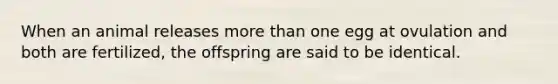 When an animal releases more than one egg at ovulation and both are fertilized, the offspring are said to be identical.