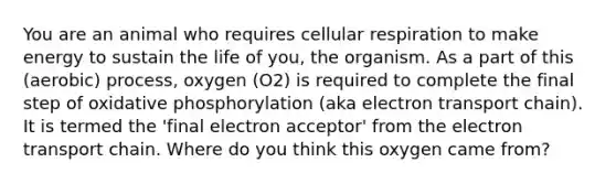 You are an animal who requires cellular respiration to make energy to sustain the life of you, the organism. As a part of this (aerobic) process, oxygen (O2) is required to complete the final step of oxidative phosphorylation (aka electron transport chain). It is termed the 'final electron acceptor' from the electron transport chain. Where do you think this oxygen came from?