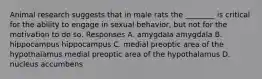 Animal research suggests that in male rats the ________ is critical for the ability to engage in sexual behavior, but not for the motivation to do so. Responses A. amygdala amygdala B. hippocampus hippocampus C. medial preoptic area of the hypothalamus medial preoptic area of the hypothalamus D. nucleus accumbens