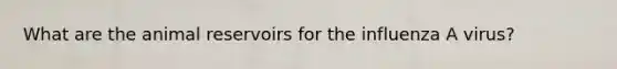 What are the animal reservoirs for the influenza A virus?