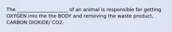 The _____________________ of an animal is responsible for getting OXYGEN into the the BODY and removing the waste product, CARBON DIOXiDE/ CO2.