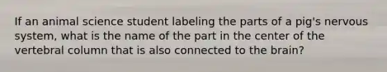 If an animal science student labeling the parts of a pig's nervous system, what is the name of the part in the center of the vertebral column that is also connected to the brain?