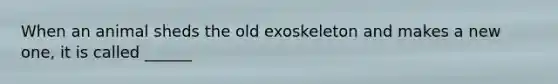 When an animal sheds the old exoskeleton and makes a new one, it is called ______