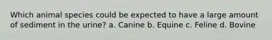 Which animal species could be expected to have a large amount of sediment in the urine? a. Canine b. Equine c. Feline d. Bovine