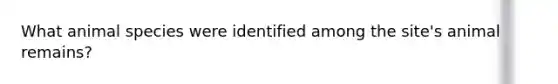 What animal species were identified among the site's animal remains?