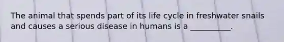 The animal that spends part of its life cycle in freshwater snails and causes a serious disease in humans is a __________.