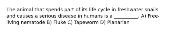 The animal that spends part of its life cycle in freshwater snails and causes a serious disease in humans is a __________. A) Free-living nematode B) Fluke C) Tapeworm D) Planarian