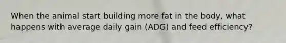 When the animal start building more fat in the body, what happens with average daily gain (ADG) and feed efficiency?