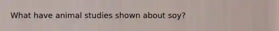What have animal studies shown about soy?