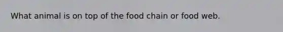 What animal is on top of the food chain or food web.