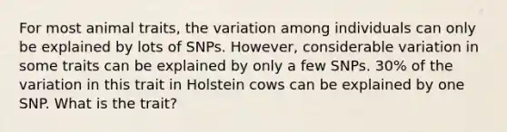 For most animal traits, the variation among individuals can only be explained by lots of SNPs. However, considerable variation in some traits can be explained by only a few SNPs. 30% of the variation in this trait in Holstein cows can be explained by one SNP. What is the trait?