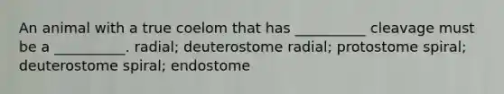 An animal with a true coelom that has __________ cleavage must be a __________. radial; deuterostome radial; protostome spiral; deuterostome spiral; endostome