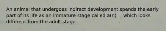 An animal that undergoes indirect development spends the early part of its life as an immature stage called a(n) _, which looks different from the adult stage.