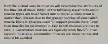 How the animal uses its muscles will determine the attributes of the final cut of meat. Which of the following statements about muscle types are true? Select one or more: a. Duck meat is darker than chicken due to the greater number of slow twitch muscle fibers b. Muscles used for support provide more flavor than muscles for locomotion c. Fast twitch muscles are dark in color d. Locomotion muscles are typically more flavorful than support muscles e. Locomotion muscles are never tender and should be avoided