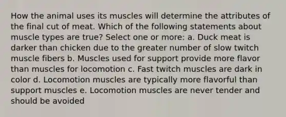 How the animal uses its muscles will determine the attributes of the final cut of meat. Which of the following statements about muscle types are true? Select one or more: a. Duck meat is darker than chicken due to the greater number of slow twitch muscle fibers b. Muscles used for support provide more flavor than muscles for locomotion c. Fast twitch muscles are dark in color d. Locomotion muscles are typically more flavorful than support muscles e. Locomotion muscles are never tender and should be avoided