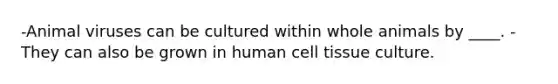 -Animal viruses can be cultured within whole animals by ____. -They can also be grown in human cell tissue culture.