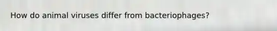 How do animal viruses differ from bacteriophages?