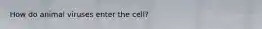 How do animal viruses enter the cell?