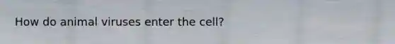 How do animal viruses enter the cell?