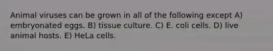 Animal viruses can be grown in all of the following except A) embryonated eggs. B) tissue culture. C) E. coli cells. D) live animal hosts. E) HeLa cells.