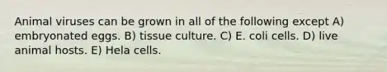 Animal viruses can be grown in all of the following except A) embryonated eggs. B) tissue culture. C) E. coli cells. D) live animal hosts. E) Hela cells.