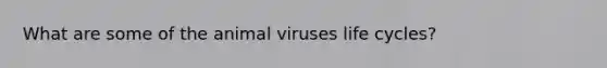 What are some of the animal viruses life cycles?