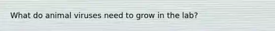 What do animal viruses need to grow in the lab?