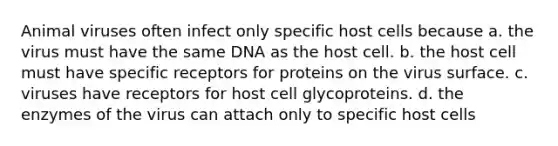 Animal viruses often infect only specific host cells because a. the virus must have the same DNA as the host cell. b. the host cell must have specific receptors for proteins on the virus surface. c. viruses have receptors for host cell glycoproteins. d. the enzymes of the virus can attach only to specific host cells